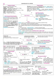 Історія України. НМТ. Опорний конспект. Повний курс у 49 таблицях для підготовки до ЗНО і НМТ. 2026 - мініатюра 6