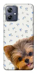 TPU чохол Demsky Cute Yorkie для Motorola Moto G54