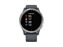 Смарт-годинник Garmin Venu Silver Stainless Steel Bezel w. Granite Blue and Silicone B. (010-02173-01)