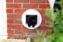 Відкидна стулка для кішок SureFlap з мікрочіпом Sure Petcare, біла, сканує посвідчення особистості тварини при вході Б/в - мініатюра 5