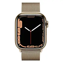 Смарт-годинник Apple Watch Series 7 GPS + Cellular 41mm Gold Stainless Steel with Gold Milanese Loop [MKHH3] [62618] - мініатюра 2