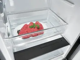 Холодильна камера Gorenje R6191DW білий (R6191DW) - мініатюра 2