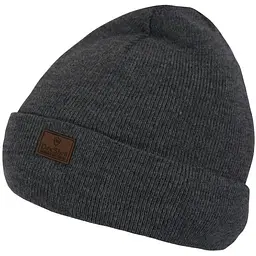 Шапка водонепроникна DexShell Watch Beanie Графітовий (1047-DH30509HGY)