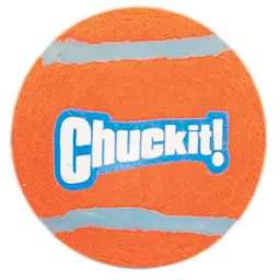 Тенісний м'ячик для собак Chuckit Tennis Balls