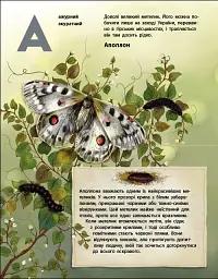 Живий світ України. Тварини та їх родичі в природі й у книжках - Наталія Коваль - мініатюра 3