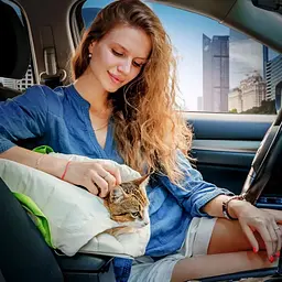 Сумка-переноска Waudog Relax Eco для котів та дрібних порід собак до 8 кг (9988) - мініатюра 6