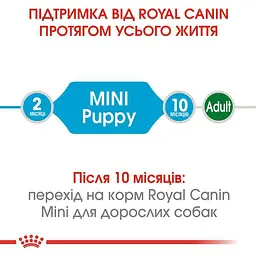 Сухий корм для цуценят дрібних порід Royal Canin Mini Puppy, з м'ясом птиці, 8 кг (30000801) - мініатюра 7