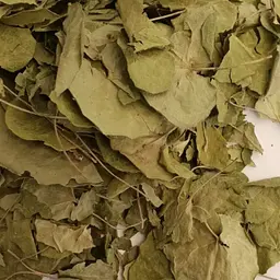 100 г копитняк європейський лист сушений - свіжий урожай