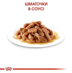 Вологий корм для стерилізованих кошенят Royal Canin Kitten Sterilised шматочки в соусі 85 г - мініатюра 6