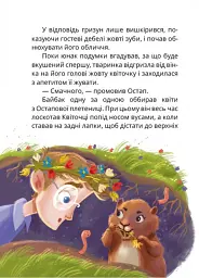 Стонадцять халеп Остапа Квіточки - мініатюра 2
