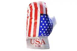 Боксерський набір L-USA "Америка" великий DANKO - мініатюра 3