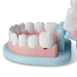Ігровий набір Melissa & Doug Стоматолог (SM93606/6074886) - мініатюра 3