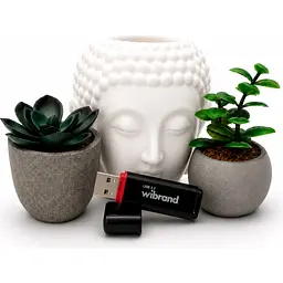 USB флеш накопичувач Wibrand 64GB Scarab Black USB 3.2 (WI3.2/SC64P11B) - мініатюра 4
