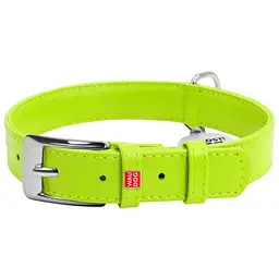 Нашийник для собак Waudog Glamour, шкіряний, з QR паспортом, 30-39х2 см, салатовий