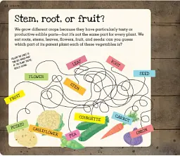 Grow. A Family Guide to Growing Fruit and Veg - мініатюра 3