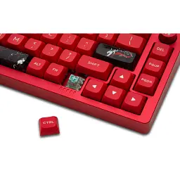 Клавіатура Thunderobot VIC68 Gateron Magnetic Jade Pro Switch Red USB UA (6932066317218) - мініатюра 12