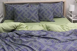 Комплект постільної білизни TAG Tekstil з компаньйоном 1.5-спальний 000267485 (S549) - мініатюра 5