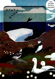 Look Closer into the Arctic - мініатюра 4