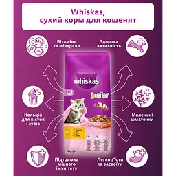 Сухий корм для кошенят Whiskas, з куркою, 14 кг - мініатюра 4
