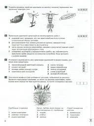Біологія і екологія. 11 клас. Тестовий контроль результатів навчання. Профільний рівень - мініатюра 4