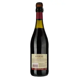 Вино ігристе Giv Cavicchioli Lambrusco Emilia Rosso Dolce, 7,5%, 0,75 л (8000009948202) - мініатюра 2