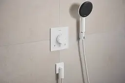 Термостат для душу Hansgrohe Ecostat Comfort E прихованого монтажу 2 function matt white 33711700 - мініатюра 2