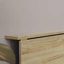 Стіл розкладний Моріс Ferrum-decor 750x1000x600 Чорний метал ДСП Дуб Сонома 16 мм (FRD-104672) - мініатюра 9