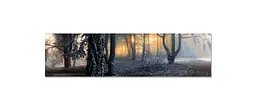 Кухонний фартух Туманний Ліс 3Д вінілова наклейка для кухні ПВХ дерева Природа Сірий Happy Pocket Z181337 - мініатюра 7