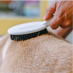 Щітка для собак та котів Ferplast GRO 5760 Premium Brush із пластиковими зубчиками 22.5x6.8x5 см 85760799 - мініатюра 5