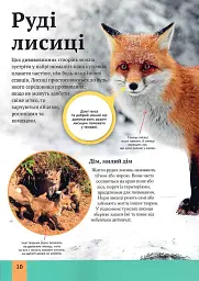 Дитяча енциклопедія хижаків - Алекс Вульф - мініатюра 7