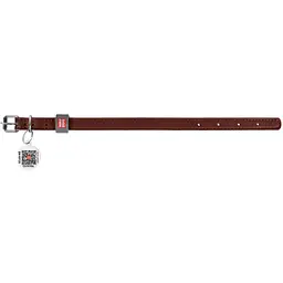 Нашийник для собак Waudog Classic, шкіряний, з QR паспортом, 21-29х1,2 см, коричневий - мініатюра 2
