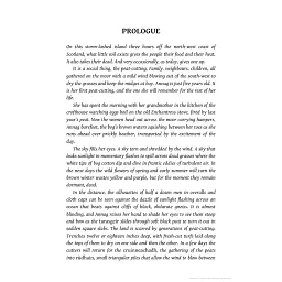 The Lewis Man. Book 2 - Пітер Мей