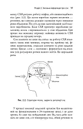 Безсоння. Як заснути, коли не спиться - Тім Кантофер - мініатюра 14