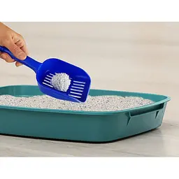 Наповнювач бентонітовий Kikikat Cat Litter Natura без запаху 5 л - мініатюра 5