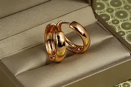 Сережки Xuping Jewelry колечки масивні 2,2 см золотисті