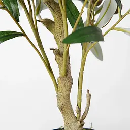 Штучна рослина Olive Tree 80 см (DW-20) - мініатюра 2