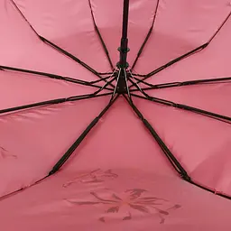 Жіноча парасолька напівавтомат (2018) Bellissimo 100 см acs0005437 - мініатюра 6