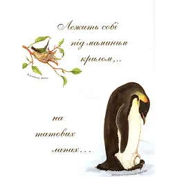 Арт-енциклопедія для дітей Богдан Яйце безмовне - Астон Гуттс Діанна (978-966-10-5104-0) - мініатюра 3