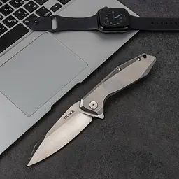 Ніж складаний туристичний Ruike P135-SF, (9.2 см) 14C28N / steel 420 сірий - мініатюра 25