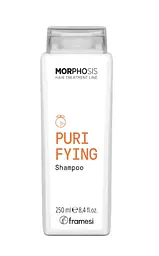 Шампунь проти лупи Framesi Morphosis Purifying Shampoo 250 мл