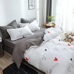 Постільна білизна сімейна Dushka Home Полікотон 21120 160х215х2 см
