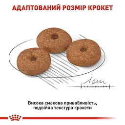 Сухий корм для собак старше 12 років Royal Canin Mini Ageing 12+, 1,5 кг (1007015) - мініатюра 3