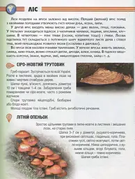 Енциклопедія для допитливих А5 : Рослини і тварини України (Українська ) - мініатюра 7