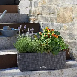 Вазон Lechuza Balconera Cottage 50 світло-сірий (15447) - мініатюра 9