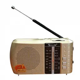 Радіоприймач на акумуляторі з блютузом золотистий 18650 FM USB MicroSD Golon ICF-8BT