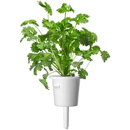 Змінний картридж Click & Grow Smart Soil Коріандр (8417) - мініатюра 3