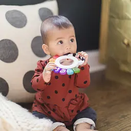 Іграшка-брязкальце Baby Einstein Outstanding Opus (12487) - мініатюра 9