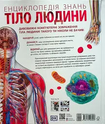 Енциклопедія знань. Тіло людини - мініатюра 2