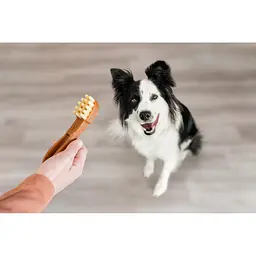 Ласощі Whimzees Toothbrush д/собак у формі зубної щітки M 12 шт - мініатюра 7