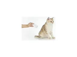 Кігтеріз для тварин Petkit LED Pet Clipper PRO (PK2302) - мініатюра 3